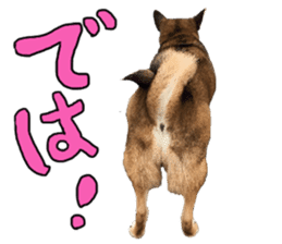 Lovely dog: SHIBU sticker #14478968