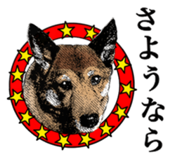 Lovely dog: SHIBU sticker #14478972