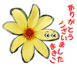 Only for Makiko of flower photos sticker #14479096