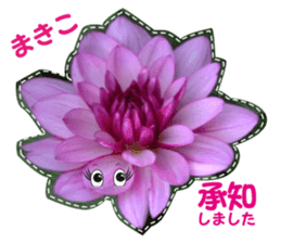 Only for Makiko of flower photos sticker #14479098
