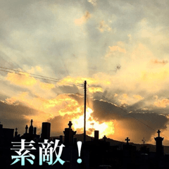 beauty nature photo sticker