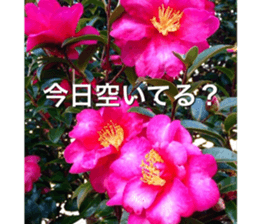 beauty nature photo sticker sticker #14480591