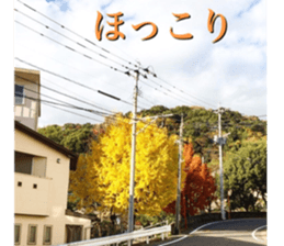 beauty nature photo sticker sticker #14480599