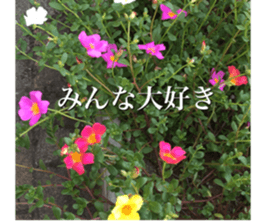 beauty nature photo sticker sticker #14480600