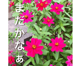 beauty nature photo sticker sticker #14480604