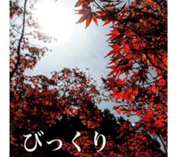 beauty nature photo sticker sticker #14480606