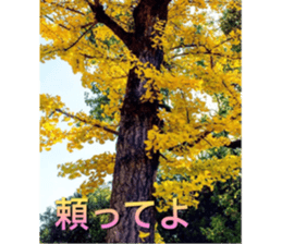 beauty nature photo sticker sticker #14480607