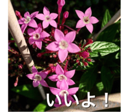 beauty nature photo sticker sticker #14480608