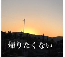 beauty nature photo sticker sticker #14480609