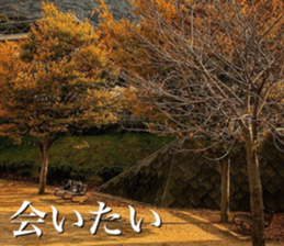 beauty nature photo sticker sticker #14480612