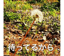 beauty nature photo sticker sticker #14480613