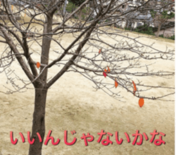 beauty nature photo sticker sticker #14480616