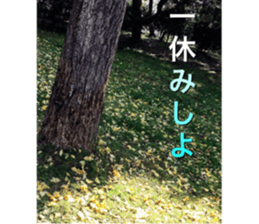 beauty nature photo sticker sticker #14480617