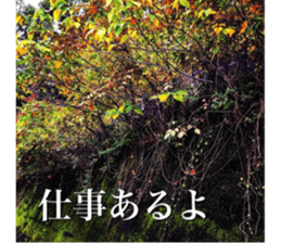 beauty nature photo sticker sticker #14480618