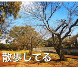 beauty nature photo sticker sticker #14480619