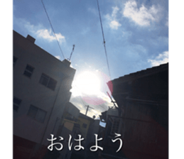 beauty nature photo sticker sticker #14480622