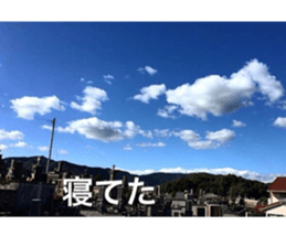 beauty nature photo sticker sticker #14480626