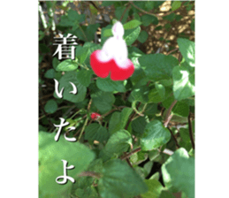 beauty nature photo sticker sticker #14480627