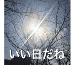 beauty nature photo sticker sticker #14480628