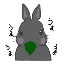 Rabbit "mocochan" sticker #14480779