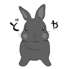 Rabbit "mocochan" sticker #14480786