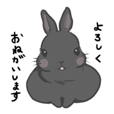 Rabbit "mocochan" sticker #14480795