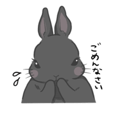 Rabbit "mocochan" sticker #14480798