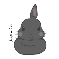 Rabbit "mocochan" sticker #14480799
