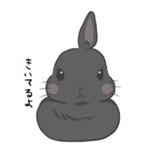 Rabbit "mocochan" sticker #14480799