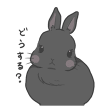 Rabbit "mocochan" sticker #14480809