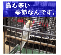 The beginning of 2017. sticker #14480842