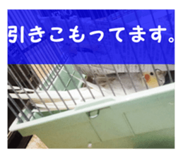 The beginning of 2017. sticker #14480843