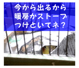 The beginning of 2017. sticker #14480844