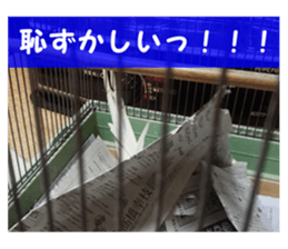 The beginning of 2017. sticker #14480845