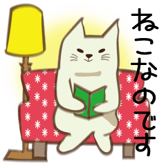 Warmly cat