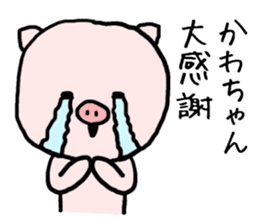 Kawachan pig sticker #14482688