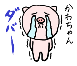 Kawachan pig sticker #14482698