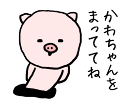 Kawachan pig sticker #14482710