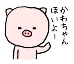 Kawachan pig sticker #14482721
