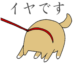 Japanese dog, Akita , Shiba inu Sticker sticker #14485523