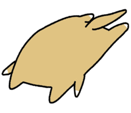 Japanese dog, Akita , Shiba inu Sticker sticker #14485540