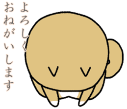 Japanese dog, Akita , Shiba inu Sticker sticker #14485542