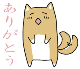 Japanese dog, Akita , Shiba inu Sticker sticker #14485545