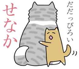 Japanese dog, Akita , Shiba inu Sticker sticker #14485555