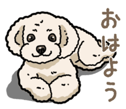Daily poodle 2 sticker #14485686