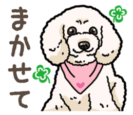 Daily poodle 2 sticker #14485688