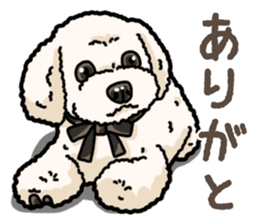 Daily poodle 2 sticker #14485690