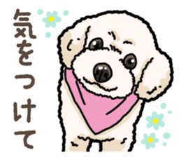 Daily poodle 2 sticker #14485691
