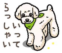Daily poodle 2 sticker #14485692