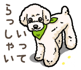 Daily poodle 2 sticker #14485692